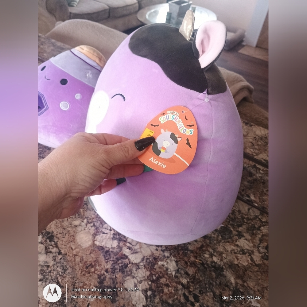 Squishmallows brand new with tags original squishmallows Kensington and Alexie. - Picture 4 of 6